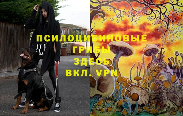 прущая мука Алексеевка