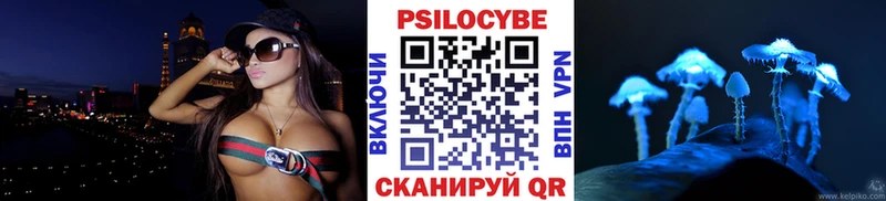 закладки  Каргат  Псилоцибиновые грибы мицелий 