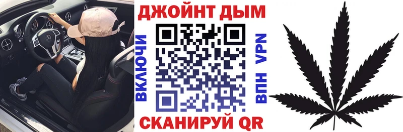 Канабис планчик Каргат